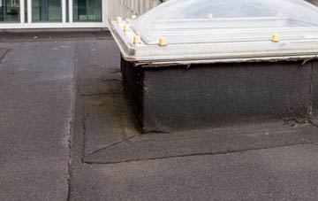 disadvantages of South Carlton flat roofs