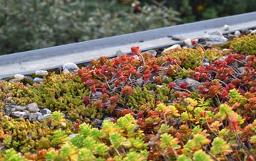 the cost of South Carlton green roof installation